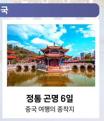 정통 곤명 6일