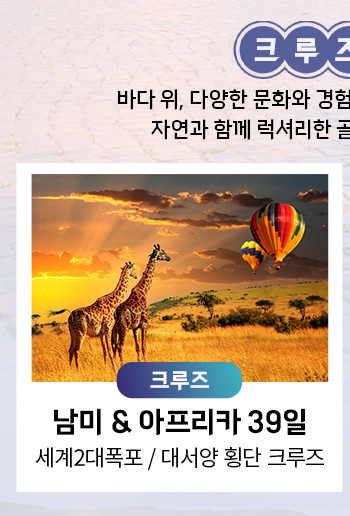 남미&아프리카 39일