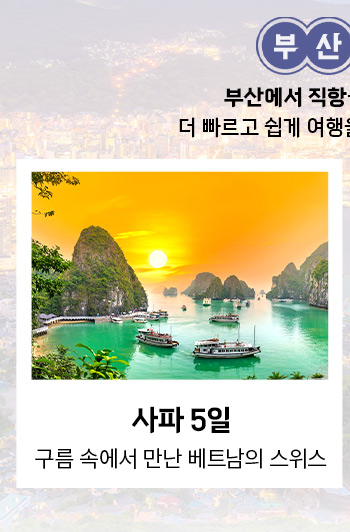 사파 5일