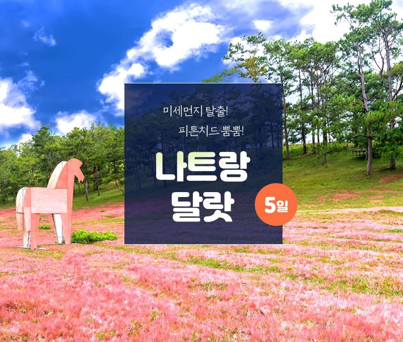 달랏 기획전