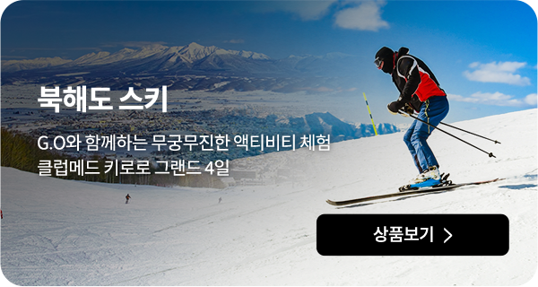 북해도 다이나믹 스키